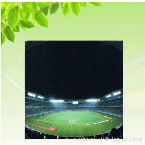 2 holes LED FLoodlight ,Aluminum housing ,IP65 waterproof
